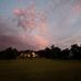 Ellen Shank - Facebook