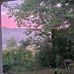 Ellen Shanks - Facebook