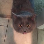 Ellen Shea - @bugzy45 - Instagram