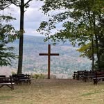 Ellen Shearer - @eshearer1958 - Instagram