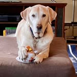 Ellen Sheedy - @emsheedy63 - Instagram