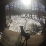 Ellen Sheffield - @eesheffield - Instagram
