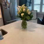 Ellen Shelton - @emaffit - Instagram