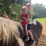 Ellen Shelton - @ellenshelton635 - Instagram