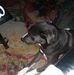 Ellen Shepard - Facebook