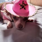 Ellen Shepherd - Facebook