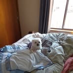 Ellen Shepherd - Facebook