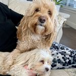 Patricia Ellen Sheppard - @actually_ellen - Instagram