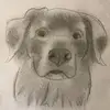 EllenSchroeyers - @ellenschroeyers - TikTok
