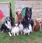 Ellen Shucksmith - Facebook