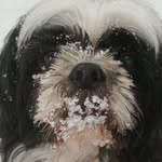 Ellen Shull - @vinotsarina - Instagram