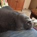 Ellen Shumate - Facebook