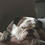 Ellen Silberborth - @ellensilberborth - Instagram