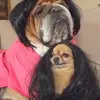 ellensilberberg - @ellensilberberg - TikTok