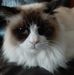 Ellen Singh - Facebook