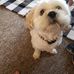 Ellen Skidmore - Facebook