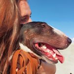 Skipper&Sherlock - @ellen.s.skipper - Instagram