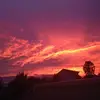 ellen.sleeman - @ellen.sleeman - TikTok