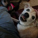 Ellen Smucker - @ellensmucker - Instagram