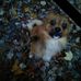 Ellen Sneed - Facebook