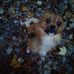 Ellen Sneed - Facebook