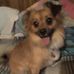 Ellen Sneed - Facebook