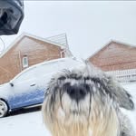 Ellen Snell - @ellen_snell - Instagram