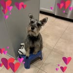 Mary Ellen Snell - @mesnellrn01 - Instagram