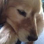 Mary Ellen Snell - @dudleysama - Instagram