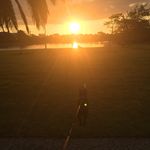 Roxy - @roxyellensparrow - Instagram