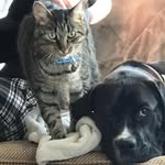 Ellen Branscombe Spooner - @blbejs - Instagram