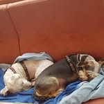 Ellen Stamm - @ellen.stamm.56 - Instagram