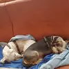 ellenstamm - @ellenstamm - TikTok