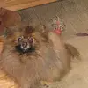 Ellen - @ellenstanley67 - TikTok