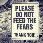 Ellen Stanley - @estanley2001 - Instagram