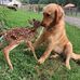 Ellen Stein - Facebook