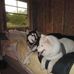 Ellen Stevenson - Facebook