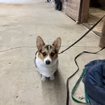 Ellen Stevenson - @ekrs25209 - Instagram
