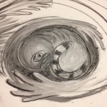@sue_ellen_strachan - Instagram