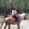 Ellen  Strong - @ellenbelga6 - TikTok