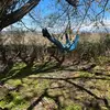 ellenstrongklasse - @ellenstrongklasse - TikTok