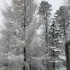 e.strong - @ellen.strong - TikTok