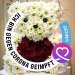 Ellen Sturm - @ellensturm43 - Instagram