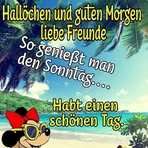 Ellen Sturm - Facebook