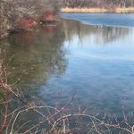Mary Ellen Evenson Sturm - @msturm43 - Instagram