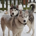 Ellen Swain - @swain141 - Instagram
