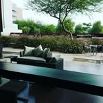 Ellen Swartz - @ellenswartz14 - Instagram