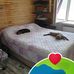 Ellen Tillman - Facebook