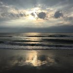 Ellen_tolbert - @ellen_tolbert1107 - Instagram