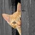 Ellen Trimble - Facebook